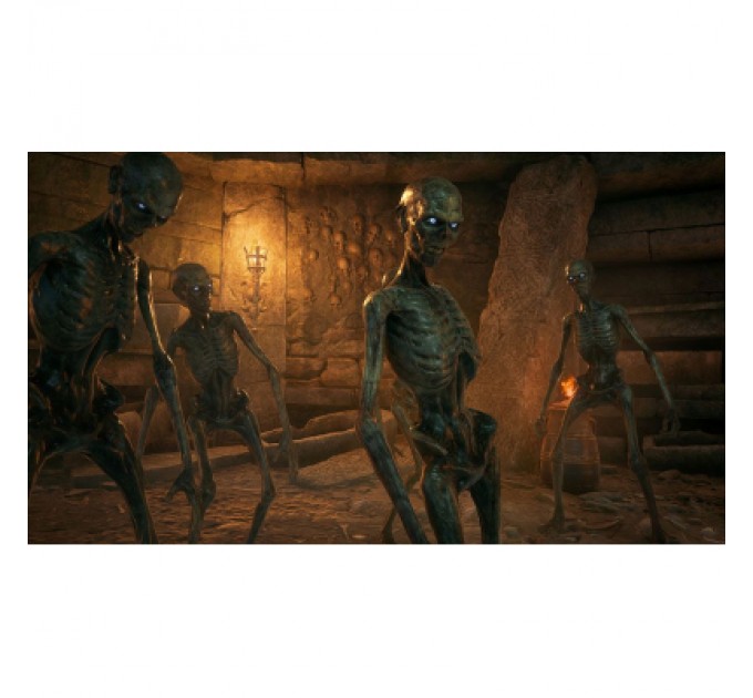 Nintendo Гра Nintendo Hogwarts Legacy Deluxe Edition, картридж (5051895415597)