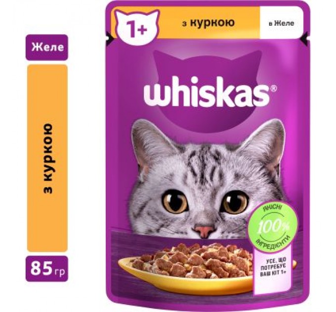 Whiskas Вологий корм для кішок Whiskas Курка в желе 85 г (5900951302138)