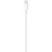 Apple Дата кабель USB-C to Lightning 1.0m Model A2561 Apple (MUQ93ZM/A)