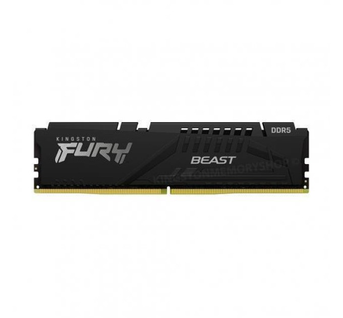Kingston Fury (ex.HyperX) Модуль пам'яті для комп'ютера DDR5 16GB 6400 MHz Beast Black EXPO Kingston Fury (ex.HyperX) (KF564C32BBE-16)