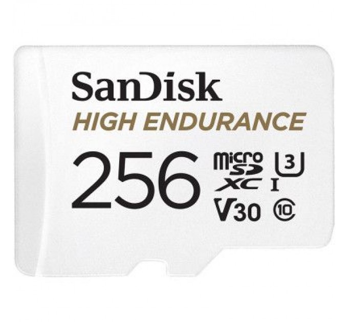 SanDisk Карта пам'яті SanDisk 256GB microSD class 10 UHS-I U3 V30 High Endurance (SDSQQNR-256G-GN6IA)