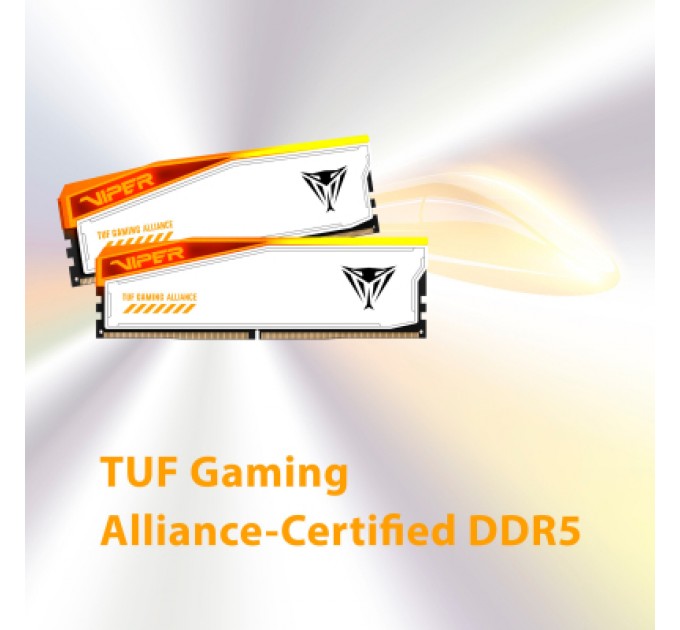 Patriot Модуль пам'яті для комп'ютера DDR5 32GB (2x16GB) 6600 MHz Viper Elite 5 RGB Patriot (PVER532G66C34KT)