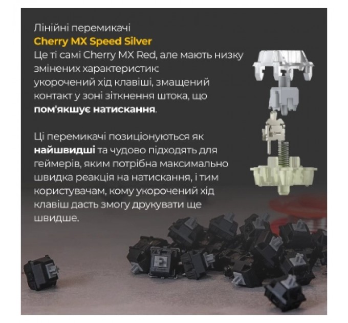 Ducky Клавіатура Ducky One 3 Cherry MX Speed Silver RGB UA USB White (DKON2108ST-PUAPXPWWWSC1)