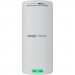 Ruijie Networks Точка доступу Wi-Fi Ruijie Networks RG-EST100-E