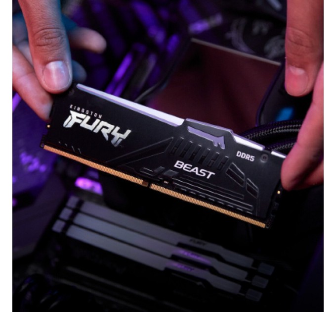 Kingston Fury (ex.HyperX) Модуль пам'яті для комп'ютера DDR5 64GB (2x32GB) 5200 MHz Beast RGB EXPO Black Kingston Fury (ex.HyperX) (KF552C40BB2AK2-64)