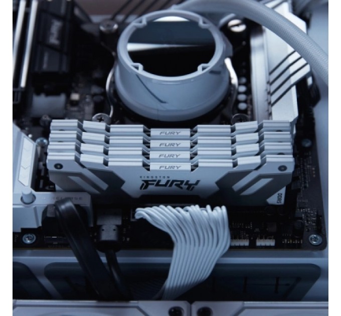 Kingston Fury (ex.HyperX) Модуль пам'яті для комп'ютера DDR5 32GB (2x16GB) 8000 MHz Renegade White Kingston Fury (ex.HyperX) (KF580C38RWK2-32)