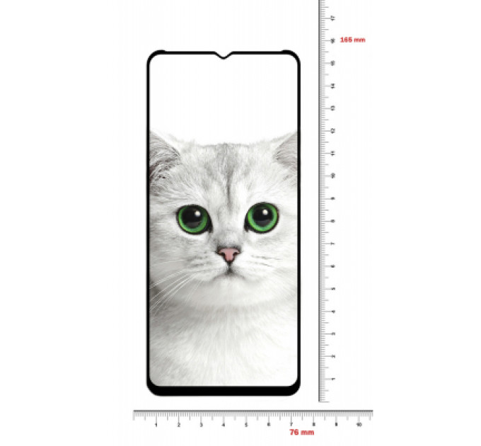 BeCover Скло захисне BeCover Realme C21Y Black (706904)