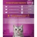 Whiskas Вологий корм для кішок Whiskas Лосось у соусі 85 г (5900951302053)