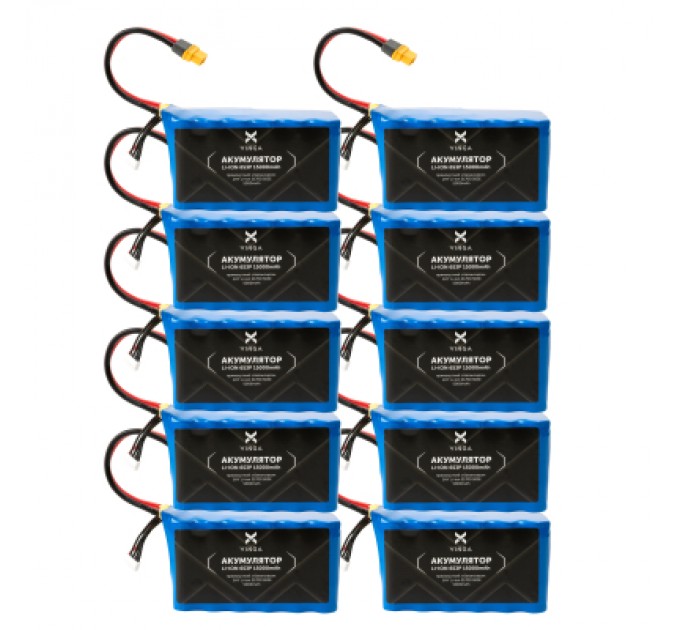 Vinga Акумулятор Vinga Li-Ion 6S3P 15000mAh коробка 10 шт (JHY Li-Ion 21700 5000mAh) (V6S3P-10PCS-15000MAH)