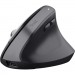 Trust Мишка Trust Bayo + Ergonomic Wireless/Bluetooth Black (25146)