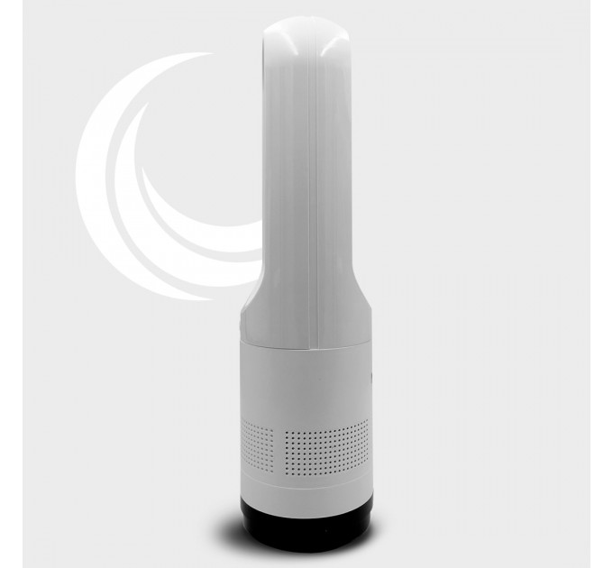 Neor Вентилятор Neor AirMax DS 2W10 WT (23101012)